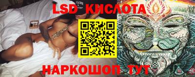 прущие крисы Новодвинск