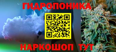 шишки Новозыбков
