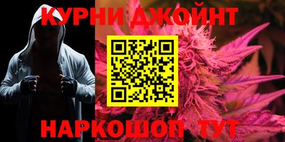 шишки Новозыбков