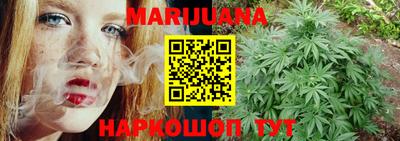 шишки Новозыбков