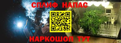 шишки Новозыбков