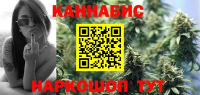 шишки Новозыбков