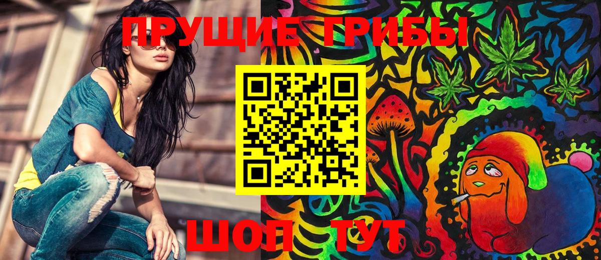 Сафоново  Псилоцибиновые грибы GOLDEN TEACHER  Вход с VPN 